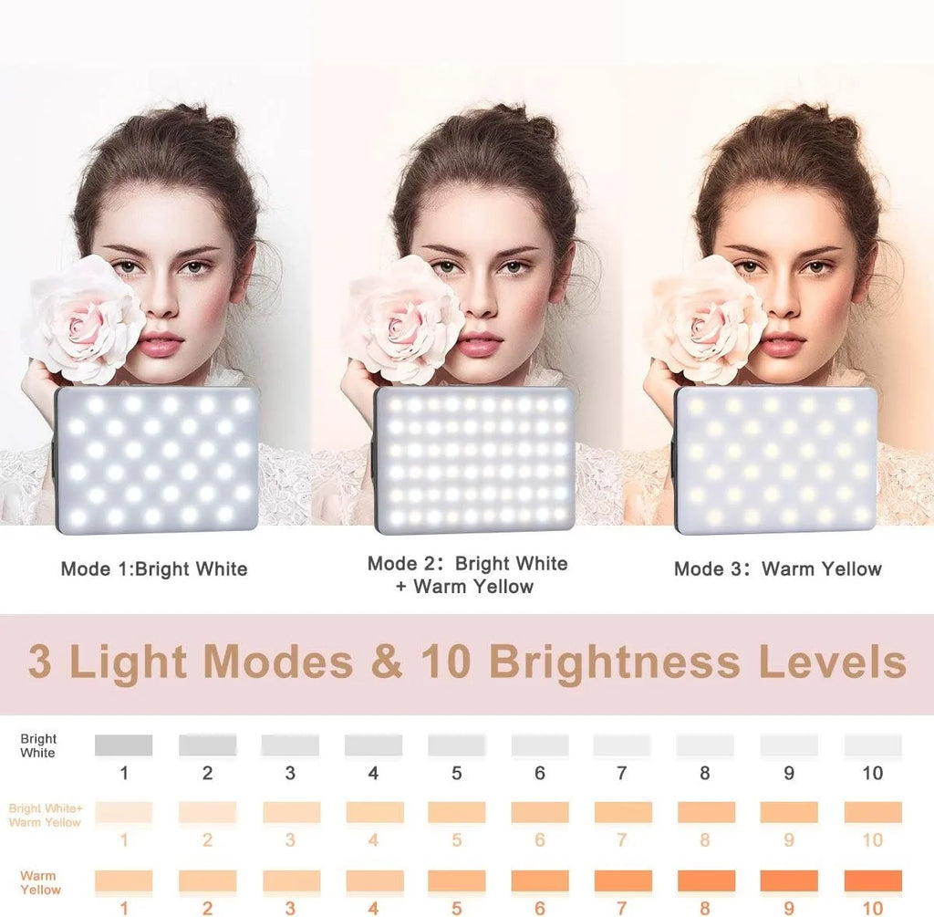 LED Clip-on Selfie & Video Conference Light